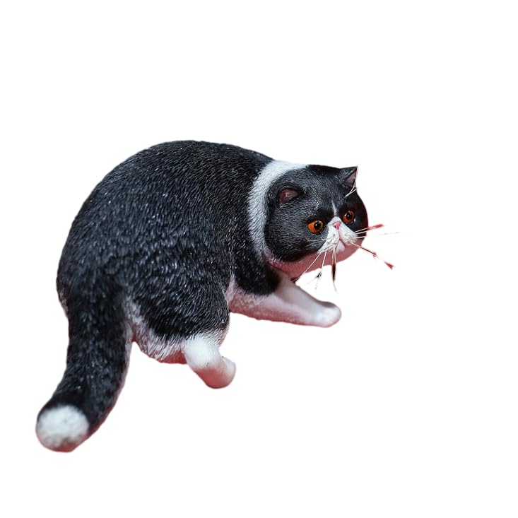 Amazon.co.jp: Mr.Z 1/6 サイズ エキゾチック・ショートヘア 猫 ペット
